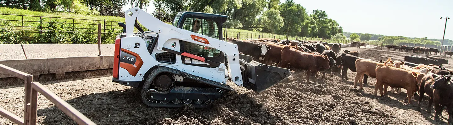 Skid Steer 