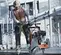 Orange Husqvarna Walk-behind Concrete Saw