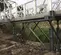 Temporary Bridges