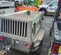 2018 Sullair 185DPQ-KU-T3 Air Compressor