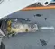 2016 Atlas Copco SB 452 Attachment