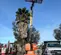 2017 JLG 460SJ Boom Lift