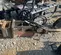 2020 Tamco Tools TNB-5M Attachment