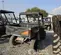 2023 Polaris PRO XD MID-SIZE Utility Vehicle