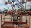 2016 JLG 800S Boom Lift