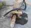 2020 Epiroc EC 150T Attachment