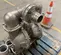 2017 VERSAMATIC E3SA5T559C-ATEX Pump