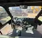 2022 Polaris PRO XD 4000D Utility Vehicle