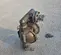 2016 Texas Process Equipment PD30S-ASS-STT-C Pump
