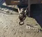 2018 Anderson Trailers TI7165TC Trailer