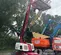 2021 MEC 34J-D Boom Lift