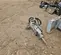 2022 FURUKAWA K-FX55ACP-QA Attachment