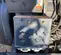 2020 Magnum Pro MLT6SM Portable Light Tower