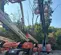 2015 JLG 1500SJ Boom Lift