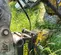 2021 Epiroc SB 452 Attachment