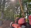 2015 JLG 600AJ Articulating Boom Lift